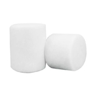 Coton Undercast capitonnant la couleur orthopédique de la taille 5*2.7cm 10*2.7cm de polyester de plâtre blanche